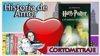 Mi Historia de amor con Harry Potter