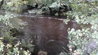 Glasshouses to Pateley bridge Circular Walk North Yorkshire UK