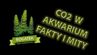 #24 CO2 w akwarium - fakty i mity