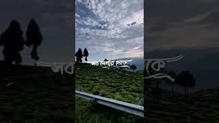 শব নিশাৰ থেকে নাৰিৰ নিশা বশাকত #sad #instagram #love #attitude #attitudeboy #viral #reels #motivatio