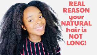 The REAL REASON Your NATURAL HAIR is not Growing Long.