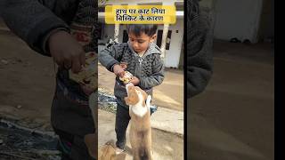 Hand Bite Dog | हाथ पर काट लिया #short #shorts #viral #trending #children #dog_baby #yt #bejuban