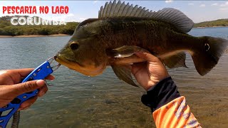 pescaria no lago Corumbá - cadê os tucunaré desse lago?