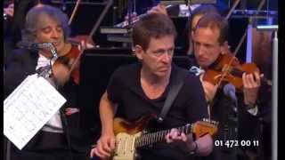 Dominic Miller & SF Orchestra, Rok Golob - NOVEMBER