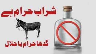 شراب حرام کب ہوئی | گدھا حلال یا حرام #شراب #حرام