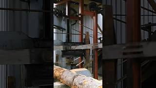 Nice old wood saw saw mill running at Motor samling in Denmark #asmr #machine #sawmill #wood #saw ,