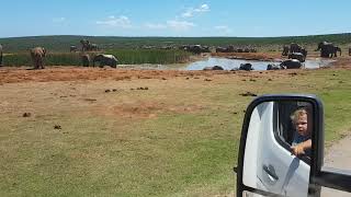 Sydafrika - Addo Nationalpark i autocamper