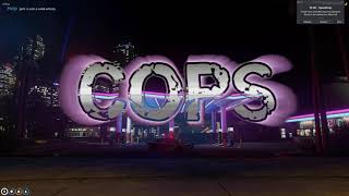 Cops S1 E1 | GTARP |  EPIC POLICE CHASES | New District RP