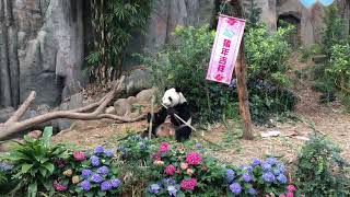 190205 Singapore River Safari 1