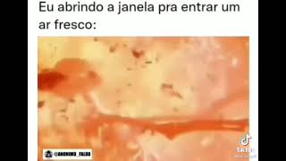 quando abro! a janela #bbb #calor #videoengraçado