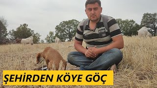 KÖYDE GEÇEN BİR GÜNÜM