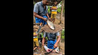 Most Unique Big Rohu Fish Cutting Skills Expert Fish Cutter Village Food