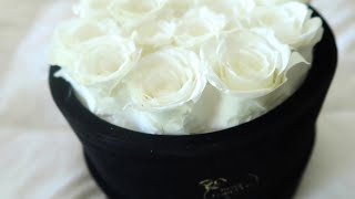 Review Rose Forever New York - Passion Round Ivory Preserved Roses