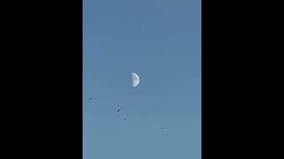 Camera iPhone 12 Pro Max zoom moon 🌒 айфон 12 про макс камера