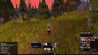 Warcraft Hardcore WALK - Paladin DwarfWalkin