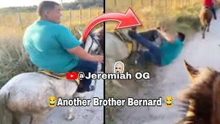 Brother Bernard | Instant regrets | Funny fails compilation