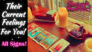 ✨💖 THEIR CURRENT FEELINGS FOR YOU! ✧ ALL SIGNS LOVE READING! 💖✨