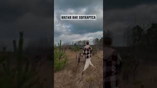 а на самом деле всего лишь креативный монтаж #видеомейкер #shortsmaker