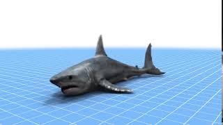 Shark Simulator