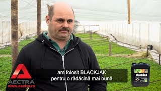 Blackjak - Testimonial legumicultura