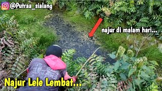 Najur malam hari di rawa semak yang angker dapatnya ikan lele lembat