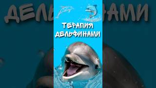 #тренды #дельфин #дельфинарий #dolphin #jimin #world #water #плаваю #плыву #сочи #форумагутина