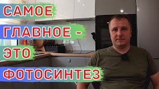 УРОЖАЙ Полевых Культур. КАК ДОСТИЧЬ МАКСИМУМА!!