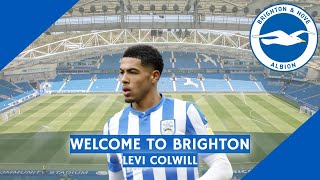 Levi Colwill - 19yo - Welcome to Brighton ?