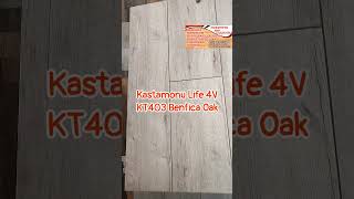 KASTAMONU Life 4V, експрес огляд