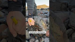 Ammonite Hunting On The Beach 😱🦑🔨