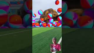 Moto🐢 satisfying video🐢 Turtle With colourful balls 🎉#asmr #fun #animal #fwm