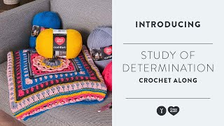 Introducing: Study of Determination Stitch Along with The Crochet Crowd!