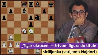 Tigar ukroćen - žrtvom figura do titule svetskog prvaka - siclijanska odbrana (varijanta Najdorf)