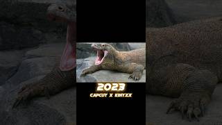 2023 Komodo dragon vs 5000 bce Komodo dragon #shorts #viral