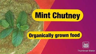 Mint chutney from organically grown home garden