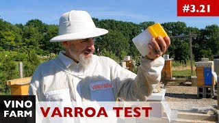 Killing Bees... to Save Bees (Alcohol Varroa Mite Test)