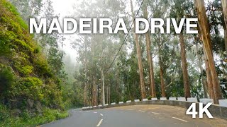 Madeira's Enchanted 4K Journey 🌲🚘🏞️ | Explore Forests & Mountains | Ultimate Nature Drive Experience