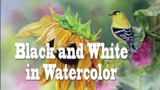 Best Black and White Colors For Watercolor Explained - Watercolor Paint/Materials