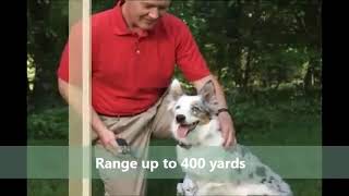 PetSafe Yard & Park Remote Dog Trainer, PDT00 12470 Review