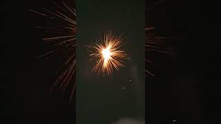 Best Sony Sky Shot Hollywood #qualitycrackers #skyshot #sonyfireworks