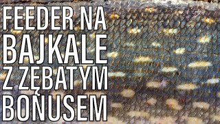 [065] Feeder na Bajkale z zębatym bonusem