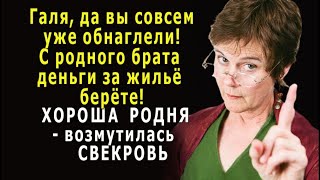 - Вы с РОДНОГО брата ДЕНЬГИ за жильё берёте? --  возмутилась СВЕКРОВЬ, - Да вы совсем обнаглели!