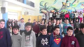 Video  Progetto Erasmus