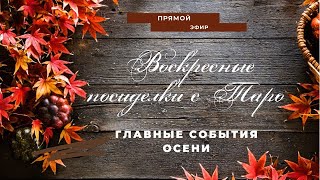 Главные события осени | Воскресные посиделки с Таро | Таро сегодня