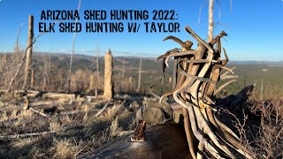 Arizona Shed Hunting 2022: Shed Hunting w/ Taylor in Some New Areas