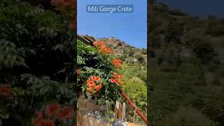 Mili Gorge | Abandoned Village Crete #travel #shorts #life #fun #beautiful #lifestyle #history #mili