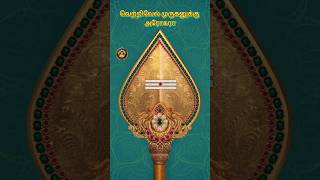 வெற்றிவேல் முருகனுக்கு அரோகரா🚩 பழனி முருகன்👑ராஜஅலங்காரம் #murugan #gugan