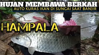 MENANGKAP IKAN DENGAN ALAT TRADISIONAL DI SUNGAI|| ketika Banjir