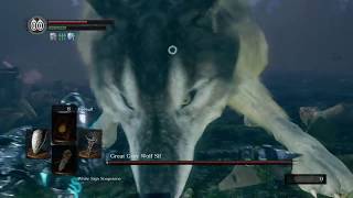 DARK SOULS™ REMASTERED: Great Grey Wolf Sif