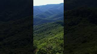 Epic View from Pilot Mountain Along the Art Loeb Trail